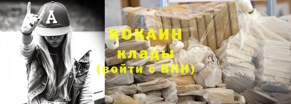 прущие грибы Корсаков