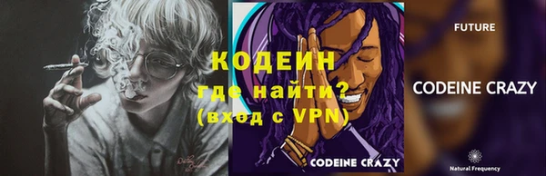 хмурый Кодинск