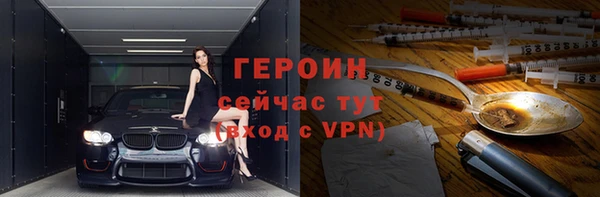 прущие грибы Корсаков