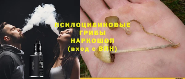 прущие грибы Корсаков