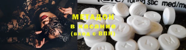 прущие грибы Корсаков
