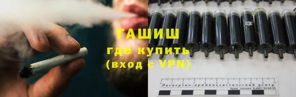 прущие грибы Корсаков