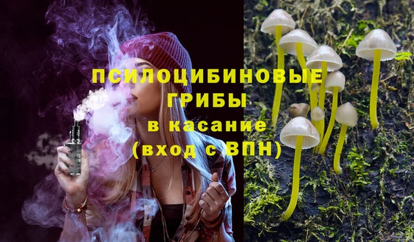 прущая мука Козловка