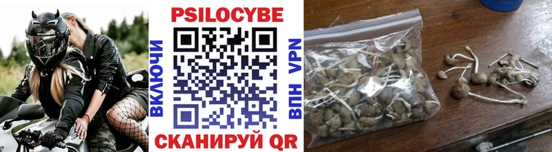 Псилоцибиновые грибы Cubensis  Купить  Ейск 